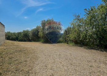 Giardino - Casa semi indipendente Via Valle Monte
 
1, Spoltore - foto 33