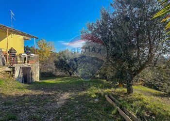 Giardino - Casa semi indipendente Via Valle Monte
 
1, Spoltore - foto 34