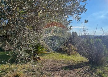 Giardino - Casa semi indipendente Via Valle Monte
 
1, Spoltore - foto 35