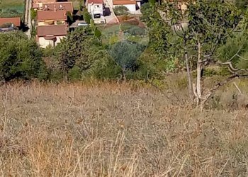 Vista delle montagne - Agricultural land contrada amalfitano
 
snc, Bagheria - photo 3