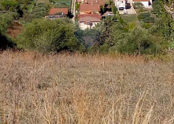 Vista delle montagne - Agricultural land contrada amalfitano
 
snc, Bagheria - photo 6