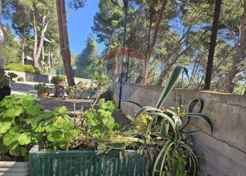 Giardino - Trilocale Contrada traversa sp 16 km 11, 28, Ventimiglia di Sicilia - foto 22