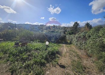 Vista delle montagne - Agricultural land contrada torre amalfitano, Bagheria - photo 8