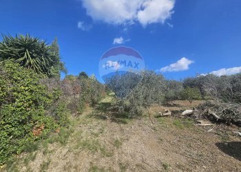 Vista delle montagne - Agricultural land contrada torre amalfitano, Bagheria - photo 10