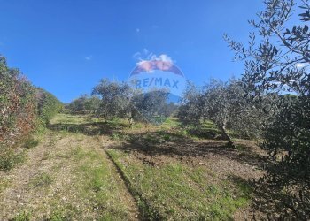 Vista delle montagne - Agricultural land contrada torre amalfitano, Bagheria - photo 13