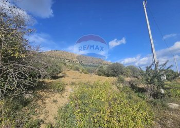Vista delle montagne - Agricultural land contrada torre amalfitano, Bagheria - photo 14