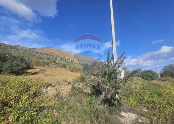 Vista delle montagne - Agricultural land contrada torre amalfitano, Bagheria - photo 15