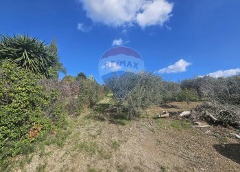 Vista delle montagne - Agricultural land contrada torre amalfitano, Bagheria - photo 16