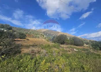 Vista delle montagne - Agricultural land contrada torre amalfitano, Bagheria - photo 19