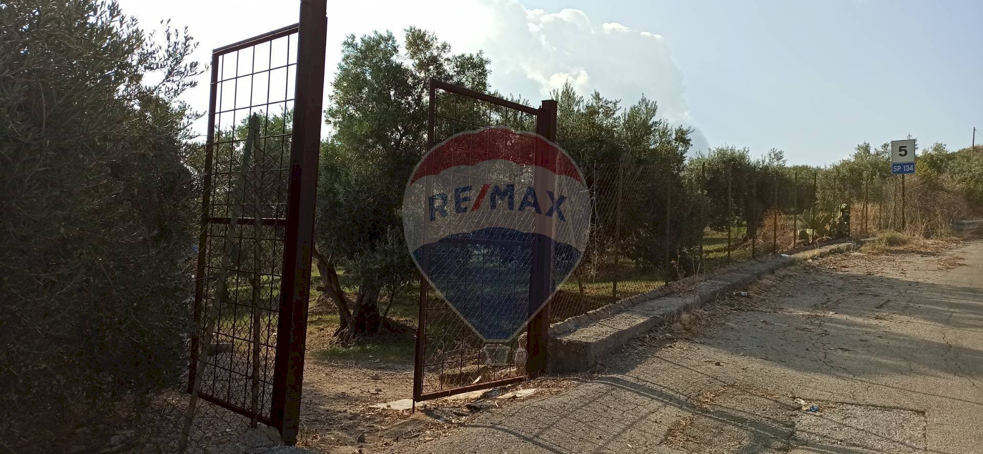 Edificio all\'aperto - Terreno agricolo Contrada torretta
Snc, Bolognetta - foto 3
