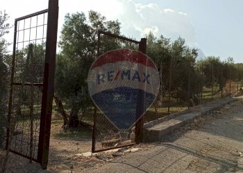 Edificio all\'aperto - Terreno agricolo Contrada torretta
 
Snc, Bolognetta - foto 3