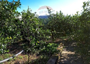 Giardino - Agricultural land via Ramilici
 
snc, Bagheria - photo 3
