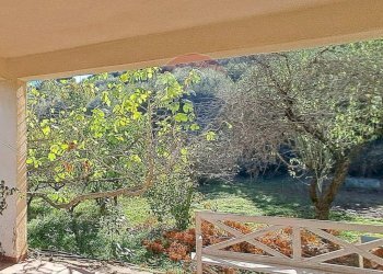 Giardino - Villa Contrada Impalastro, Termini Imerese - foto 13