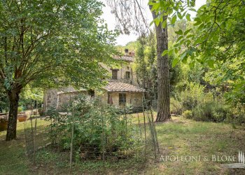 Rustic Loc. Carraino, Radda in Chianti - photo 25