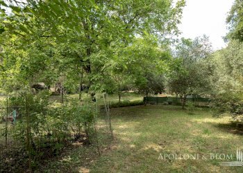 Rustic Loc. Carraino, Radda in Chianti - photo 32