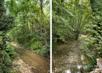 Rustic Loc. Carraino, Radda in Chianti - photo 30