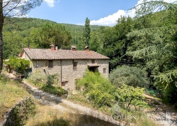 Rustic Loc. Carraino, Radda in Chianti - photo 6