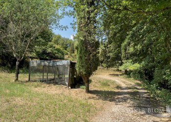 Rustic Loc. Carraino, Radda in Chianti - photo 29