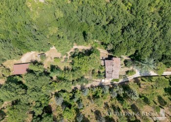 Rustic Loc. Carraino, Radda in Chianti - photo 5