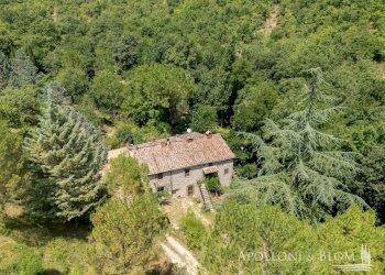 Rustic Loc. Carraino, Radda in Chianti - photo 4