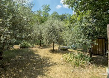 Rustic Loc. Carraino, Radda in Chianti - photo 33