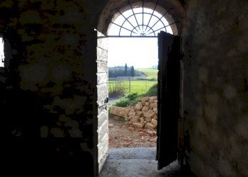 Casale strada statale 326 ovest, 123, Montepulciano - foto 20