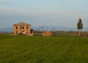 Casale strada statale 326 ovest, 123, Montepulciano - foto 32