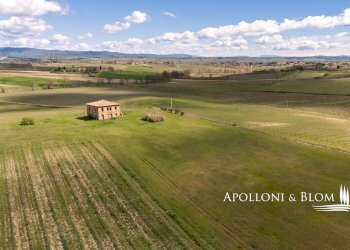 Casale strada statale 326 ovest, 123, Montepulciano - foto 34