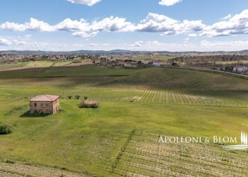 Casale strada statale 326 ovest, 123, Montepulciano - foto 38