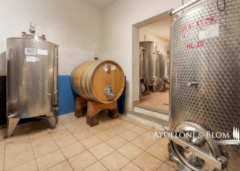 Villa Unifamiliare via di Cervognano, 8, Montepulciano - foto 24