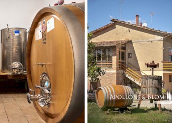 Villa Unifamiliare via di Cervognano, 8, Montepulciano - foto 27