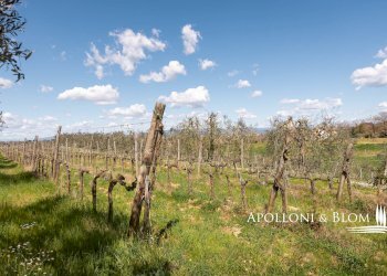 Villa Unifamiliare via di Cervognano, 8, Montepulciano - foto 31
