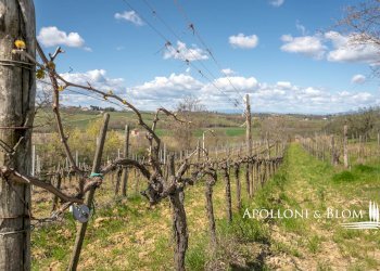 Villa Unifamiliare via di Cervognano, 8, Montepulciano - foto 33