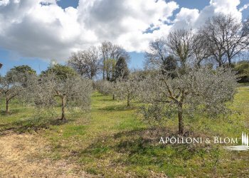 Villa Unifamiliare via di Cervognano, 8, Montepulciano - foto 35