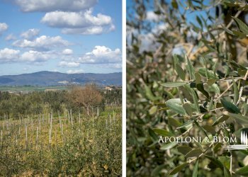 Villa Unifamiliare via di Cervognano, 8, Montepulciano - foto 37