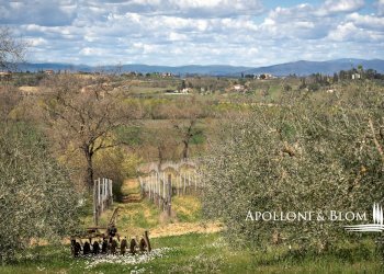 Villa Unifamiliare via di Cervognano, 8, Montepulciano - foto 38