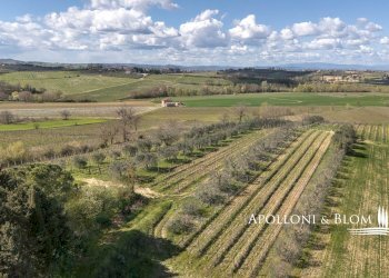 Villa Unifamiliare via di Cervognano, 8, Montepulciano - foto 44