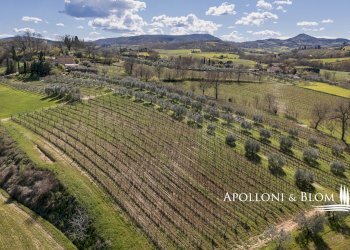 Villa Unifamiliare via di Cervognano, 8, Montepulciano - foto 45