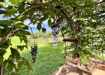 Villa Unifamiliare Vocabolo Valdilucciole, Città della Pieve - foto 5