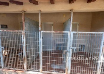 Casale Piazza Garibaldi, 11, Cetona - foto 50