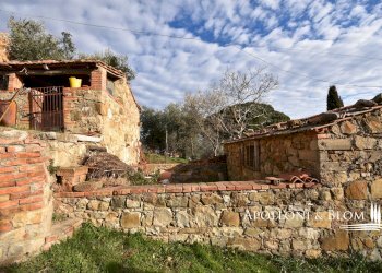 Appartamento Strada del Pozzo, 3, Castiglione d'Orcia - foto 25