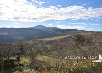 Appartamento Strada del Pozzo, 3, Castiglione d'Orcia - foto 32