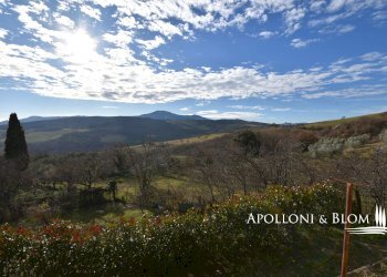 Appartamento Strada del Pozzo, 3, Castiglione d'Orcia - foto 33