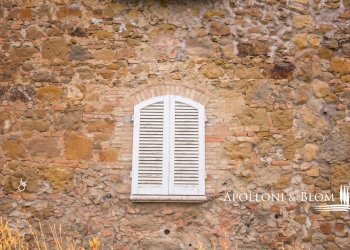 Casa Colonica STRADA PROVINCIALE, 1, Trequanda - foto 19