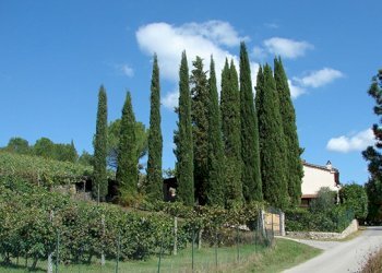 Rustico Bucine - foto 17