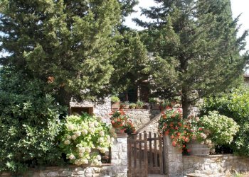 Appartamento Strada Comunale Fiorentina, 16, Radda in Chianti - foto 3