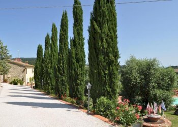 Rustico Chianni - foto 4