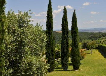 Rustico Chianni - foto 14