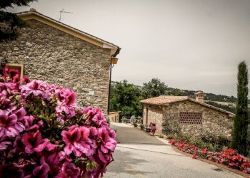 Rustico Chianni - foto 15