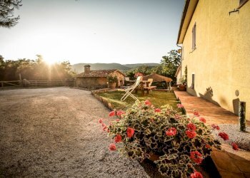 Rustico Chianni - foto 18